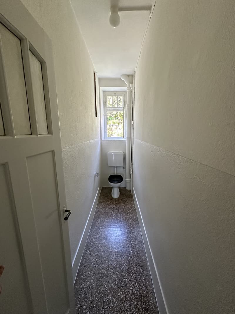 Incantevole appartamento di 4,5 locali in un edificio storico con pavimenti in parquet, balcone e parte di giardino privata (7)