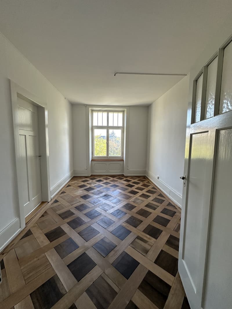 Incantevole appartamento di 4,5 locali in un edificio storico con pavimenti in parquet, balcone e parte di giardino privata (2)