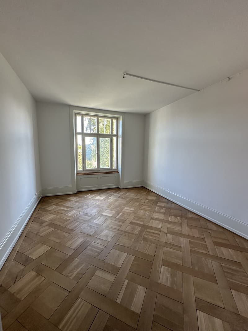 Incantevole appartamento di 4,5 locali in un edificio storico con pavimenti in parquet, balcone e parte di giardino privata (3)