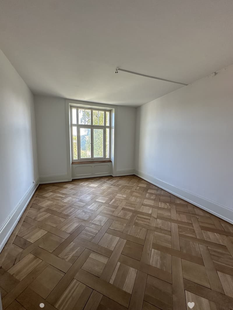 Charmante 4.5-Zimmer Altbauwohnung mit wunderschönen Parkettböden, Balkon und eigenem Gartenanteil (3)