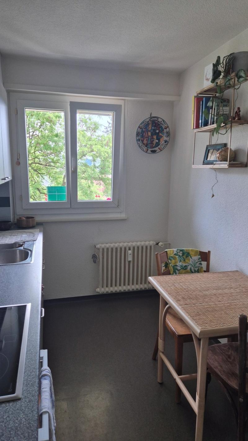Temporary 1.5-room apartment in Höngg with a view (6)