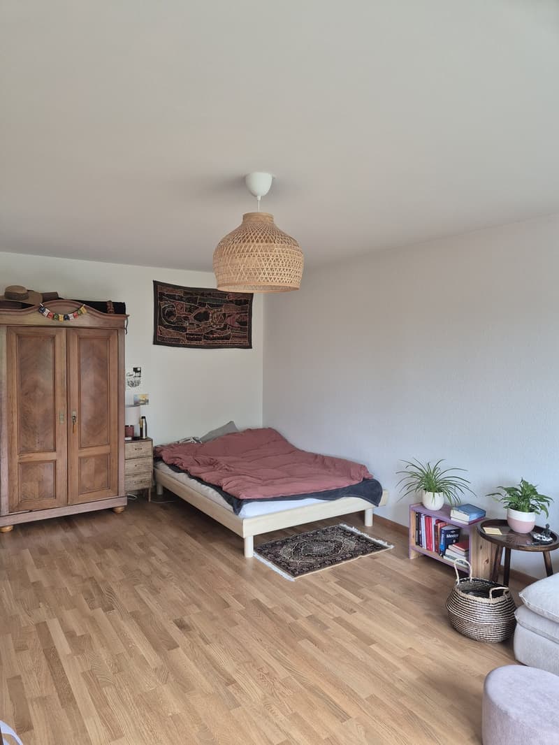 Temporary 1.5-room apartment in Höngg with a view (2)