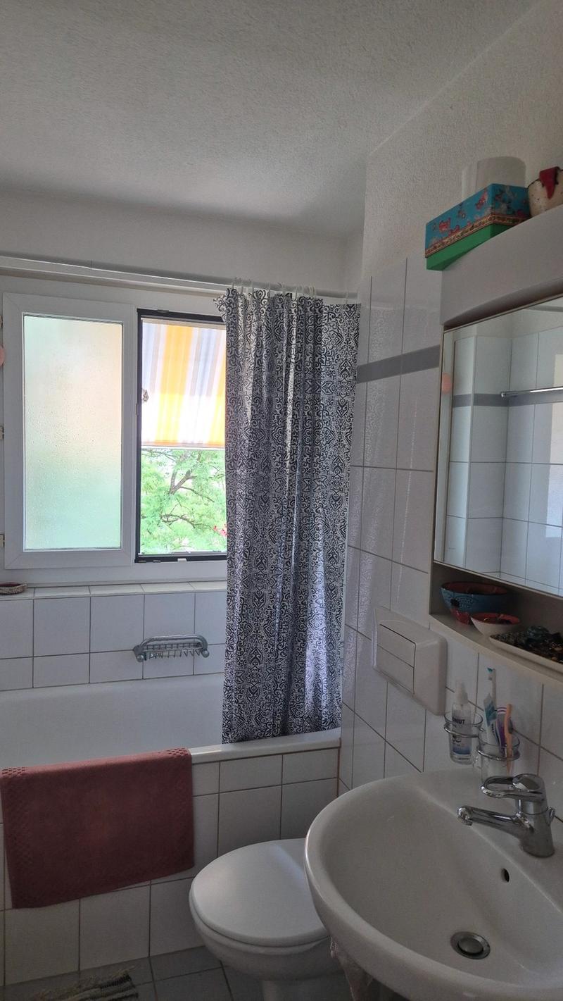 Temporary 1.5-room apartment in Höngg with a view (4)