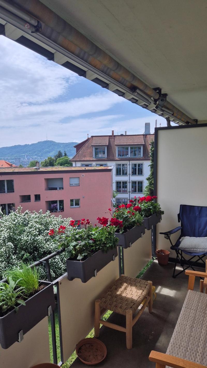 Temporary 1.5-room apartment in Höngg with a view (3)