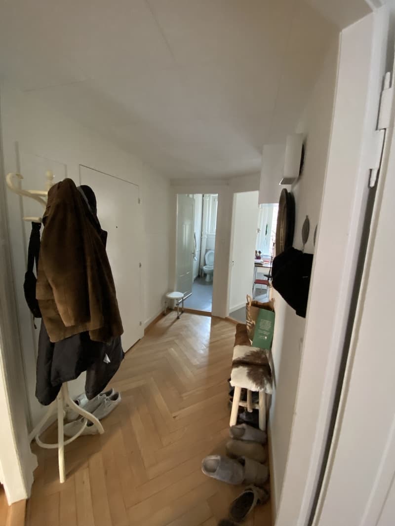 2-Zimmer Wohnung am Lochergut zur Untermiete (4)