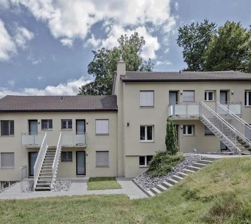 Aarau 2.5-ZWG im Grünen sucht einen Nachmieter! (2)