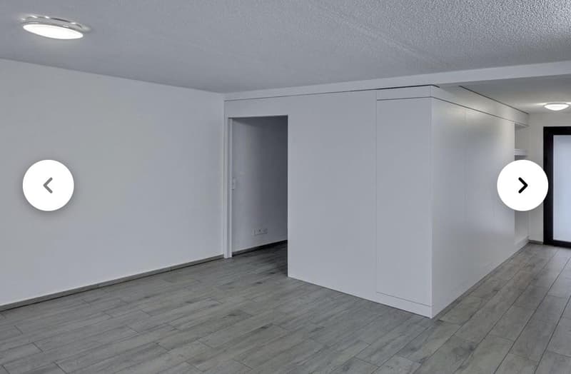 Aarau 2.5-ZWG im Grünen sucht einen Nachmieter! (1)