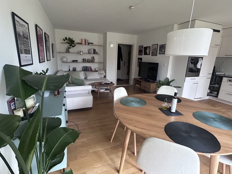 Befristet (1 Monat) und möbliert: schöne 3.5 Zimmer (7)