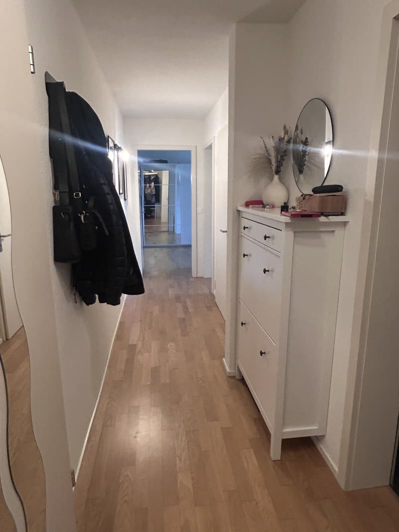 Befristet (1 Monat) und möbliert: schöne 3.5 Zimmer (6)