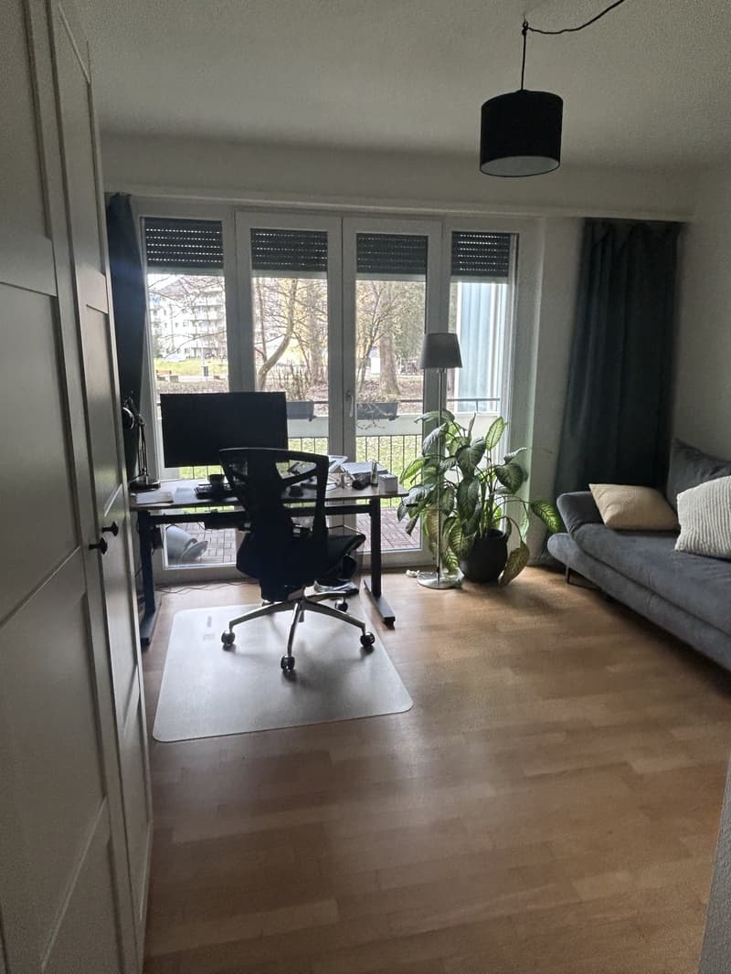 Befristet (1 Monat) und möbliert: schöne 3.5 Zimmer (5)