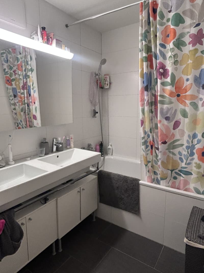 Befristet (1 Monat) und möbliert: schöne 3.5 Zimmer (8)
