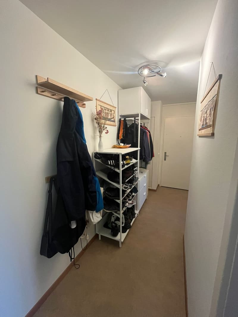 Zürich (Kreis 11): 3.5 Zimmer Wohnung zur Zwischenmiete (6 Monate ab 1.10.26) (6)