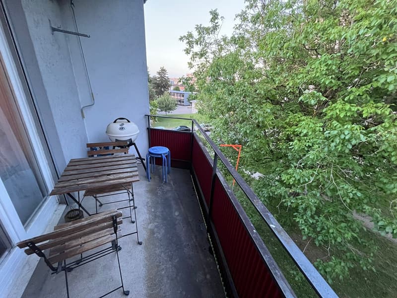 Zürich (Kreis 11): 3.5 Zimmer Wohnung zur Zwischenmiete (6 Monate ab 1.10.26) (7)
