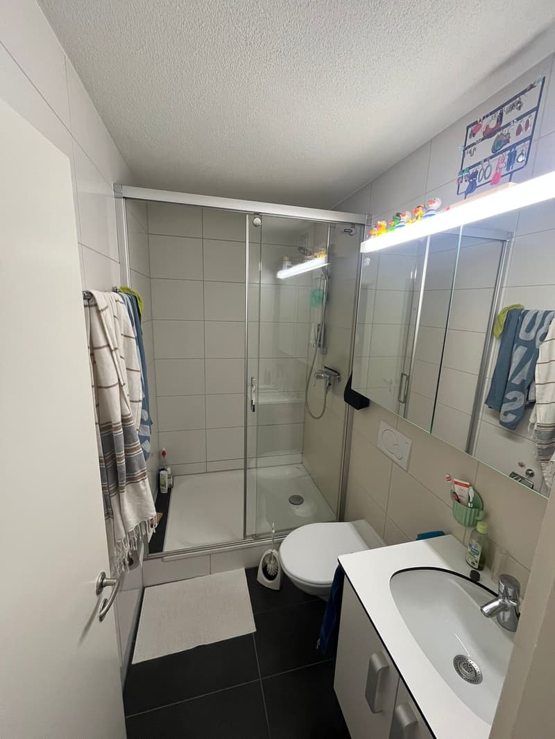 Zürich (Kreis 11): 3.5 Zimmer Wohnung zur Zwischenmiete (6 Monate ab 1.10.26) (4)