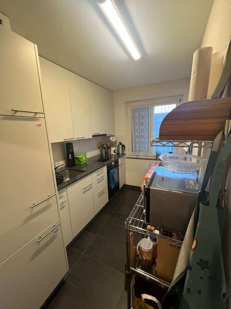 Zürich (Kreis 11): 3.5 Zimmer Wohnung zur Zwischenmiete (6 Monate ab 1.10.26) (3)