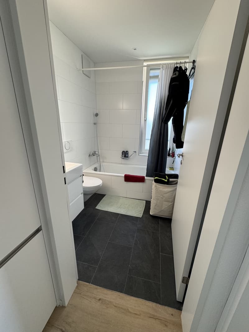 4 ½ Zimmer-Wohnung, 8620 Wetzikon (3)