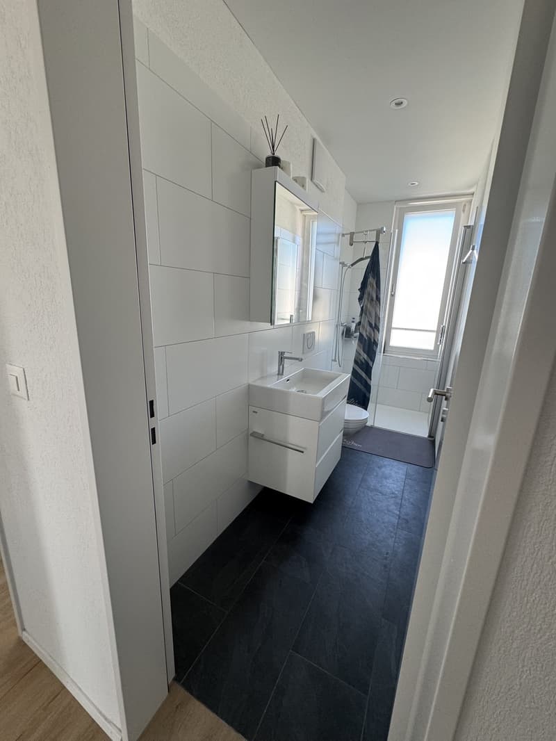 4 ½ Zimmer-Wohnung, 8620 Wetzikon (8)
