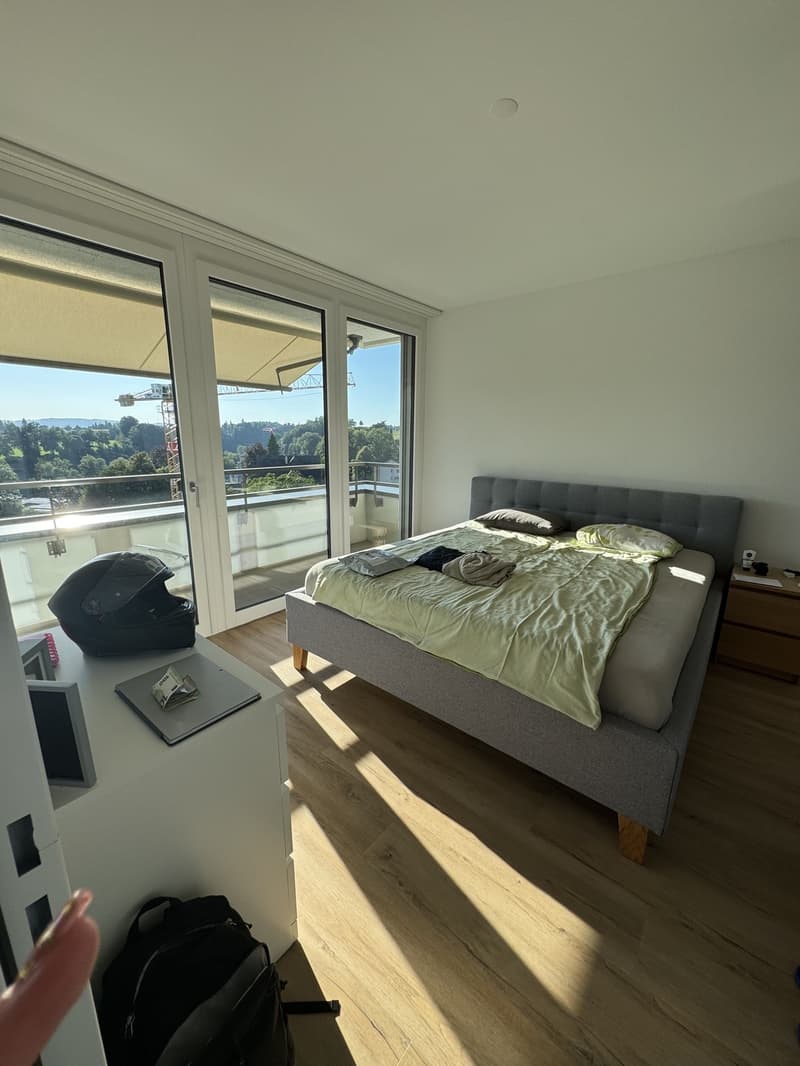 4 ½ Zimmer-Wohnung, 8620 Wetzikon (4)