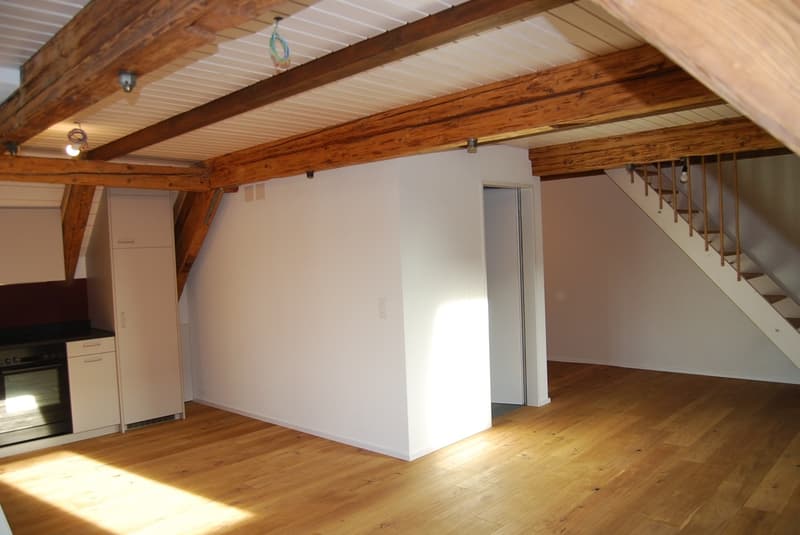 Appartamento monolocale - nuovo inquilino (6)