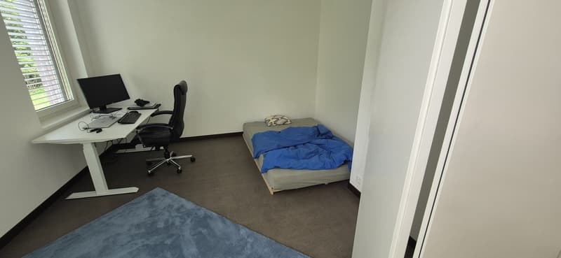 2 ½ Zimmer-Wohnung, 8408 Winterthur (3)
