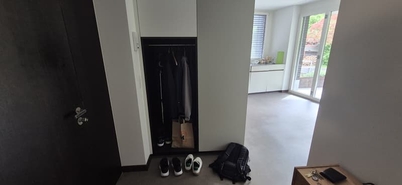 2 ½ Zimmer-Wohnung, 8408 Winterthur (5)