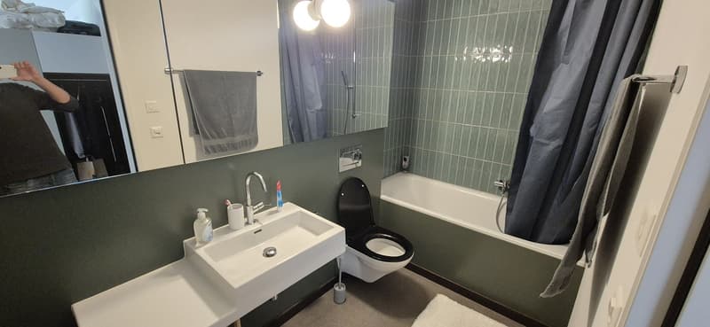 2 ½ Zimmer-Wohnung, 8408 Winterthur (4)