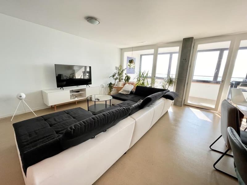 WG Zimmer in 130qm Wohnung mit Blick über Zürich (2)