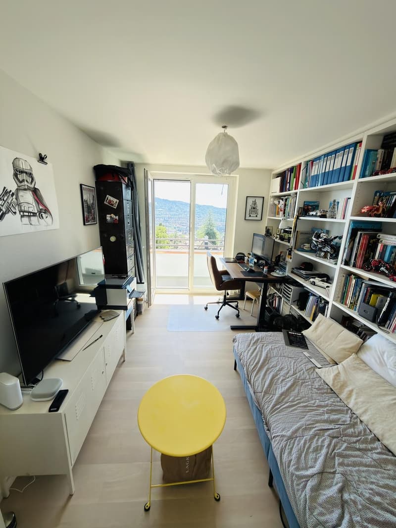 Camera deliziosa con bagno privato in un penthouse sul Zürichberg (4)