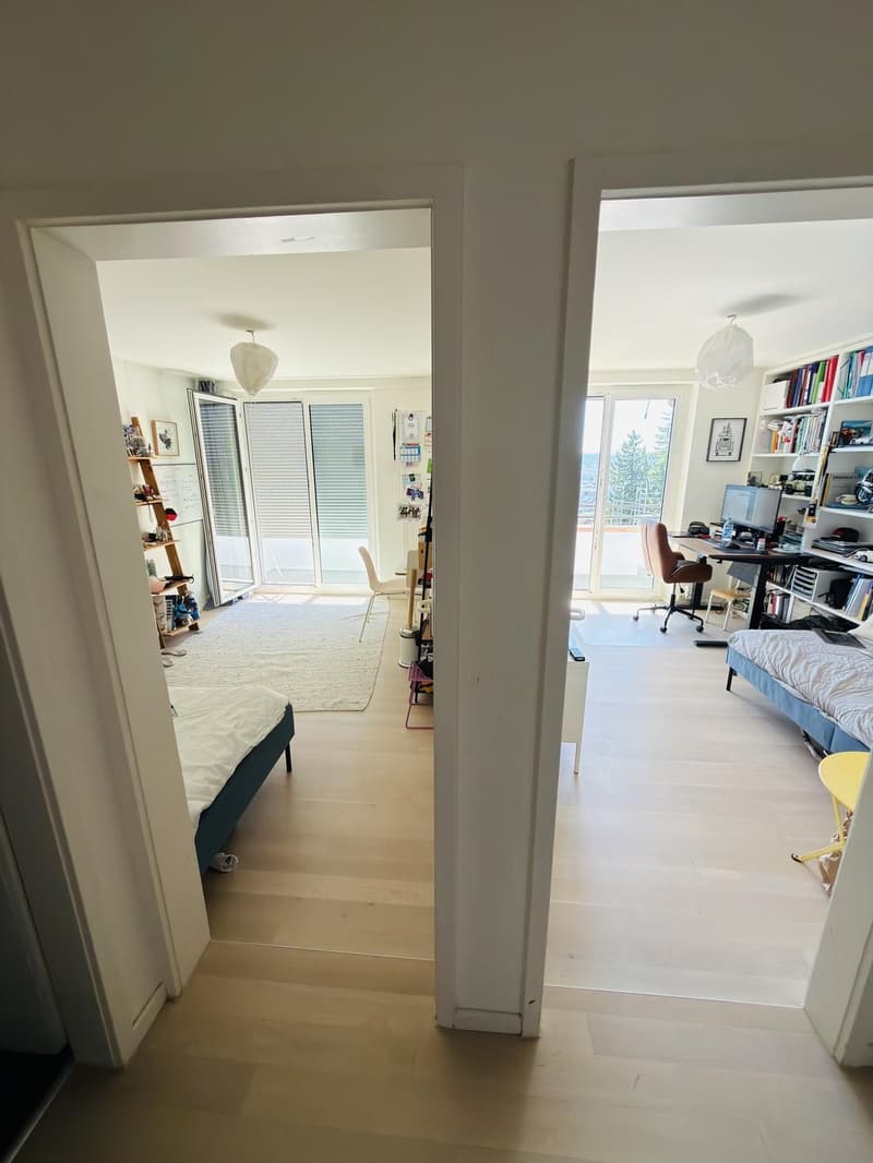 Camera deliziosa con bagno privato in un penthouse sul Zürichberg (3)