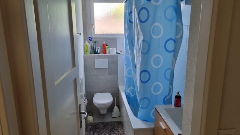 2-Zimmer Wohnung am Triemli (4)
