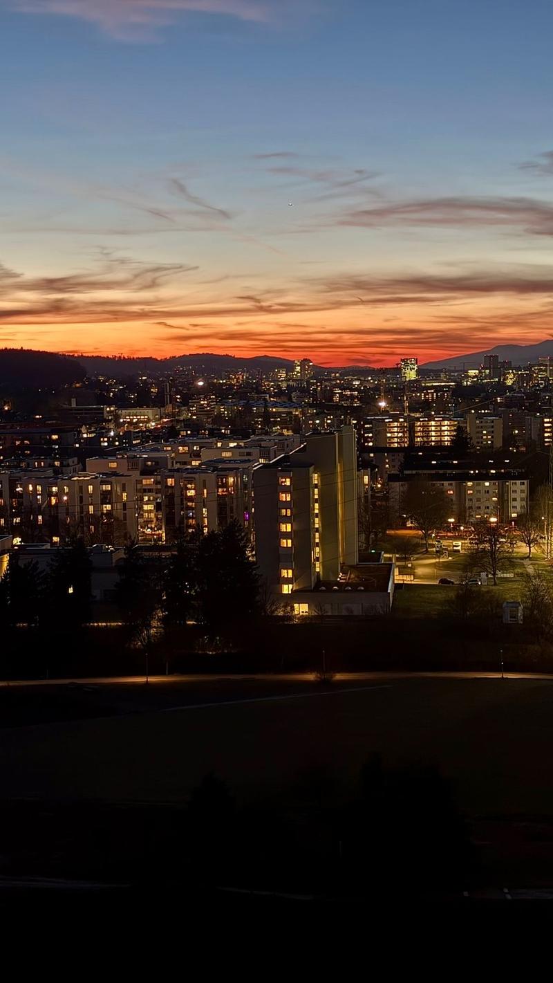 Appartamento moderno di 2.5 locali con vista panoramica al 16° piano (2)