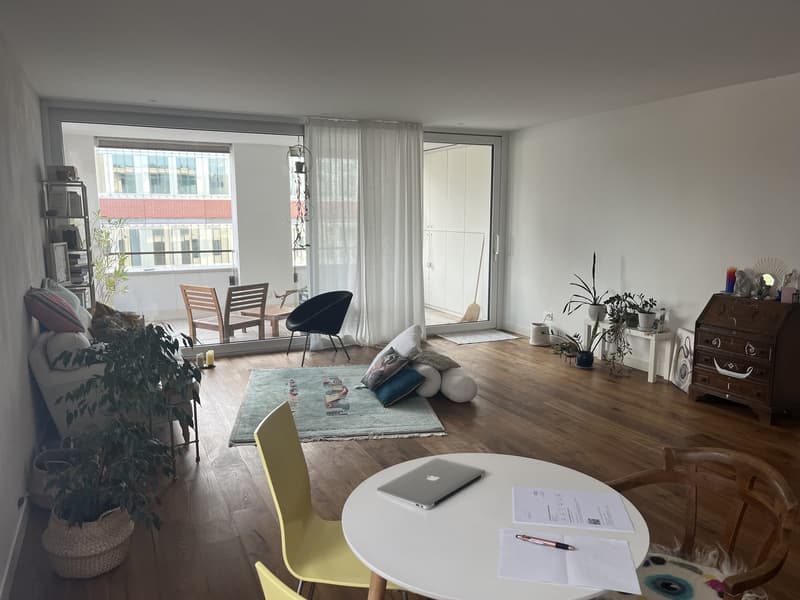 Large, bright, beautiful 2 1/2 room apartment (2)