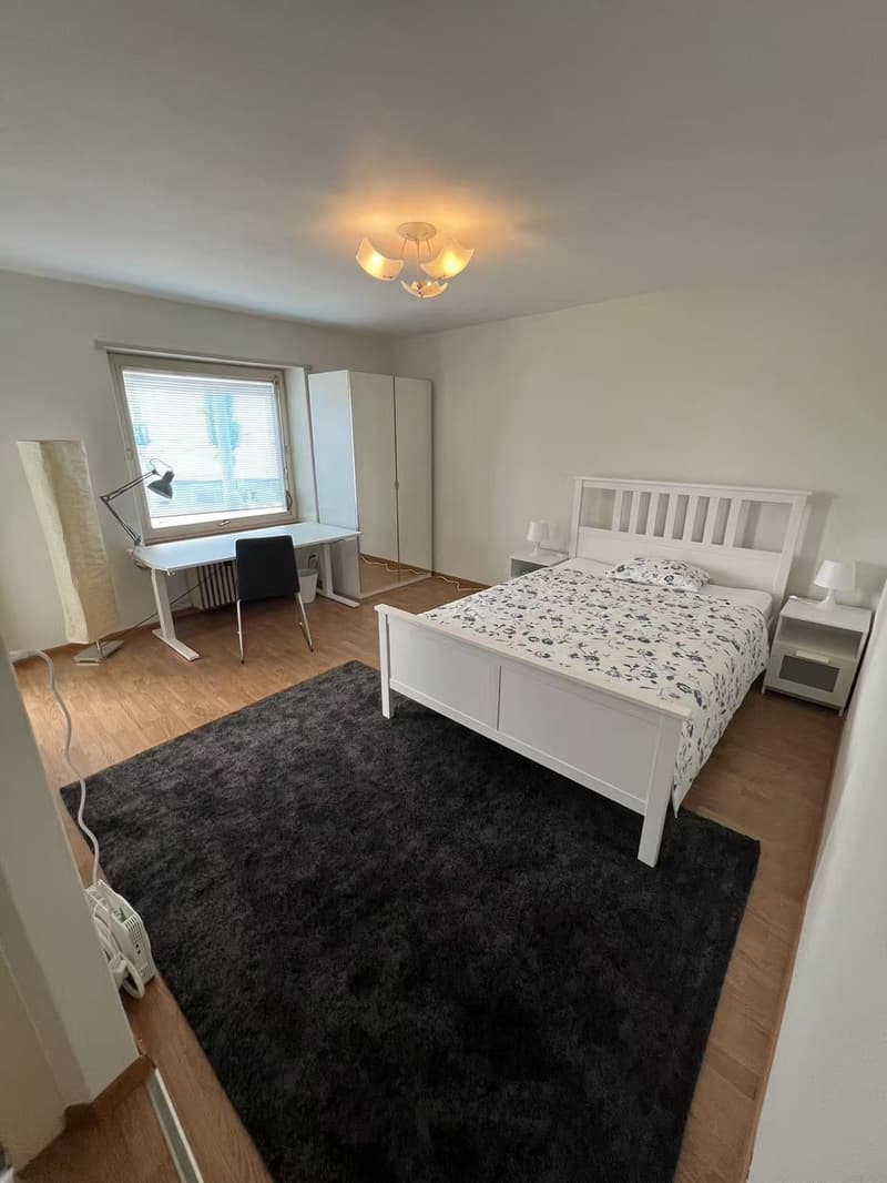 Furnished Studio Apartment for Sublet in Zürich Oerlikon (8050) (5)