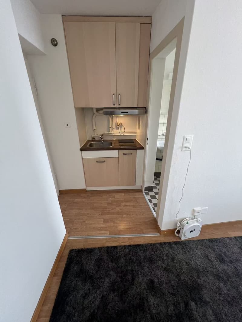 Furnished Studio Apartment for Sublet in Zürich Oerlikon (8050) (4)
