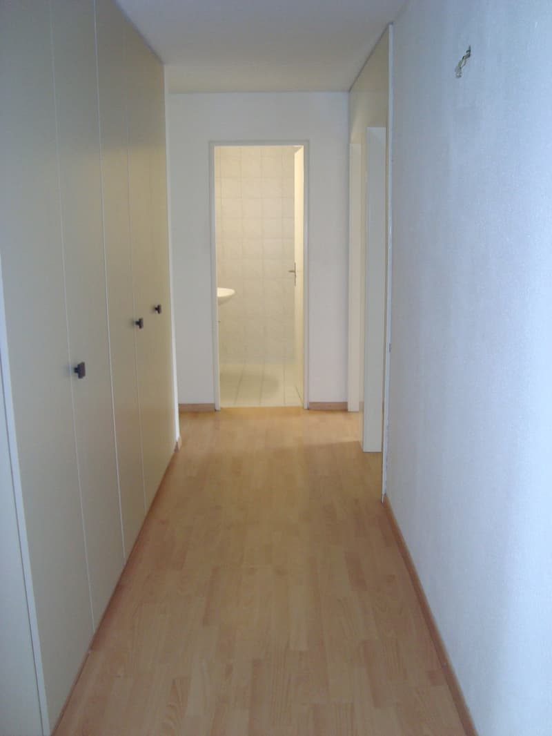 3,5 camere a Dällikon (5)