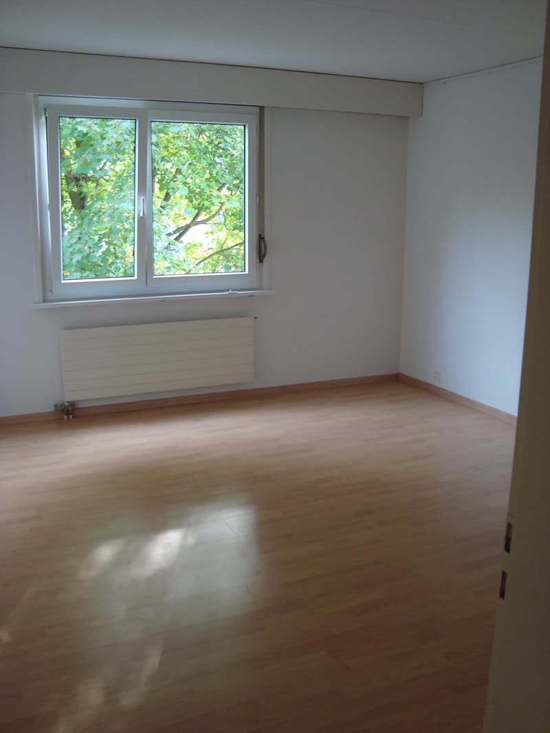 3,5 camere a Dällikon (6)