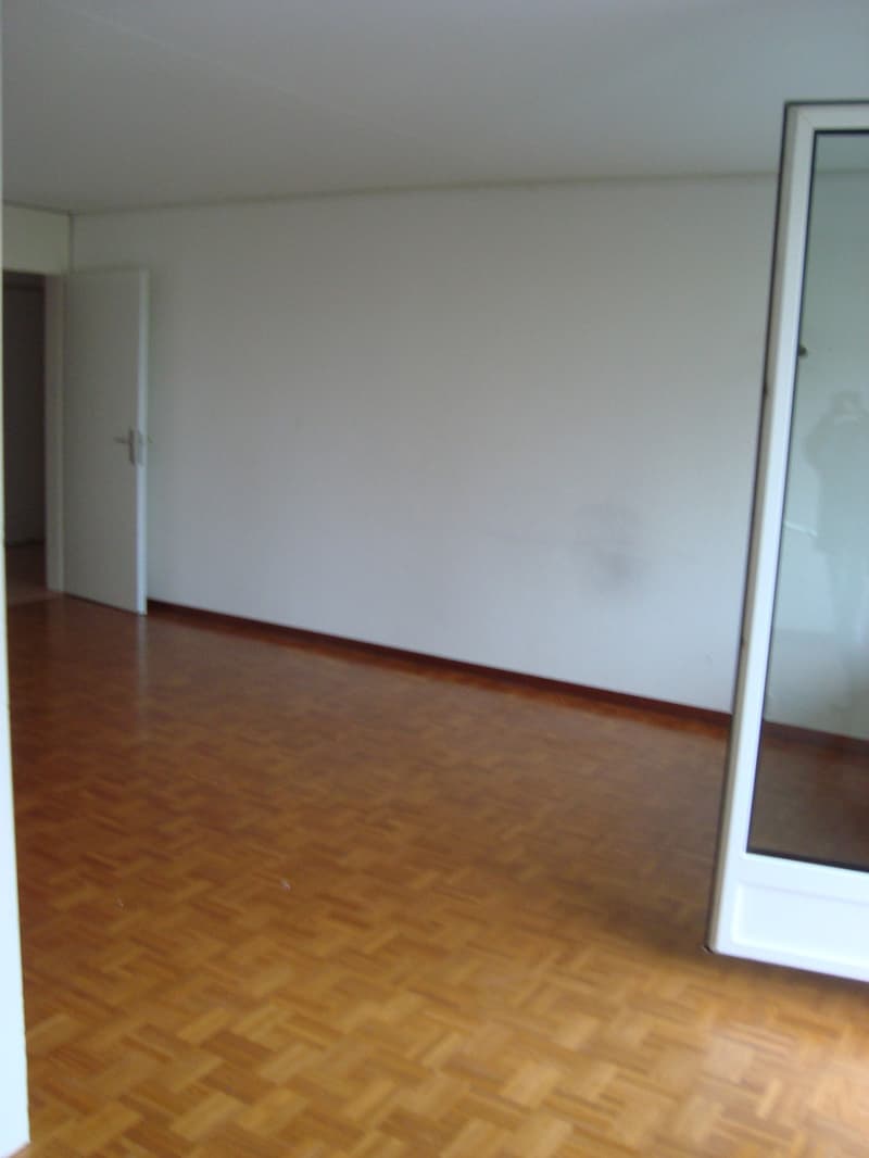 3,5 camere a Dällikon (4)