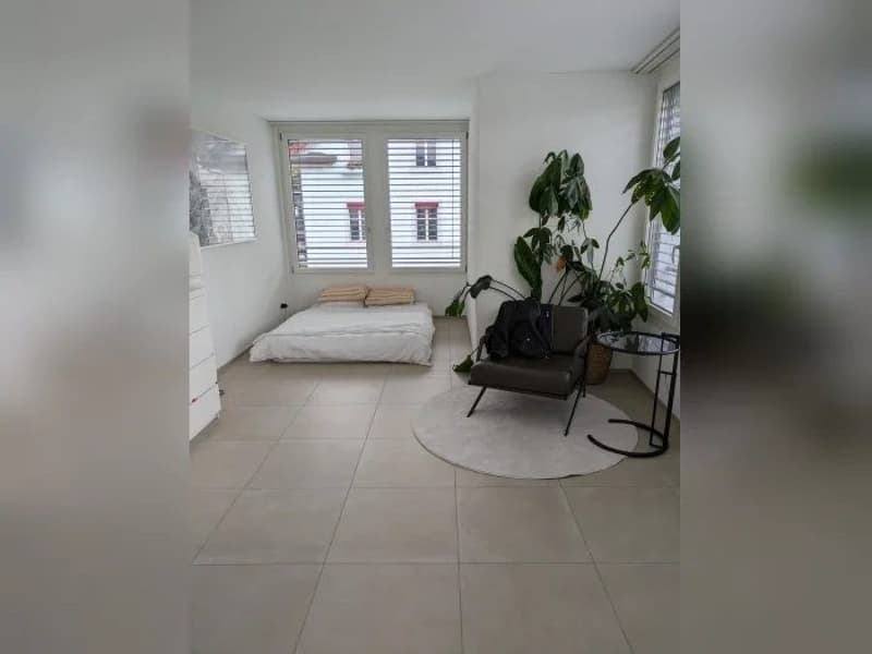 Modern 2.5-room apartment in a new building on Burgstrasse, Zurich (4)