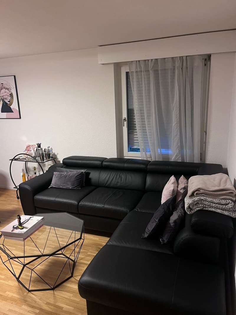 Appartement meublé 2.5 pièces lumineux et moderne dans le quartier populaire de Länggass (1)