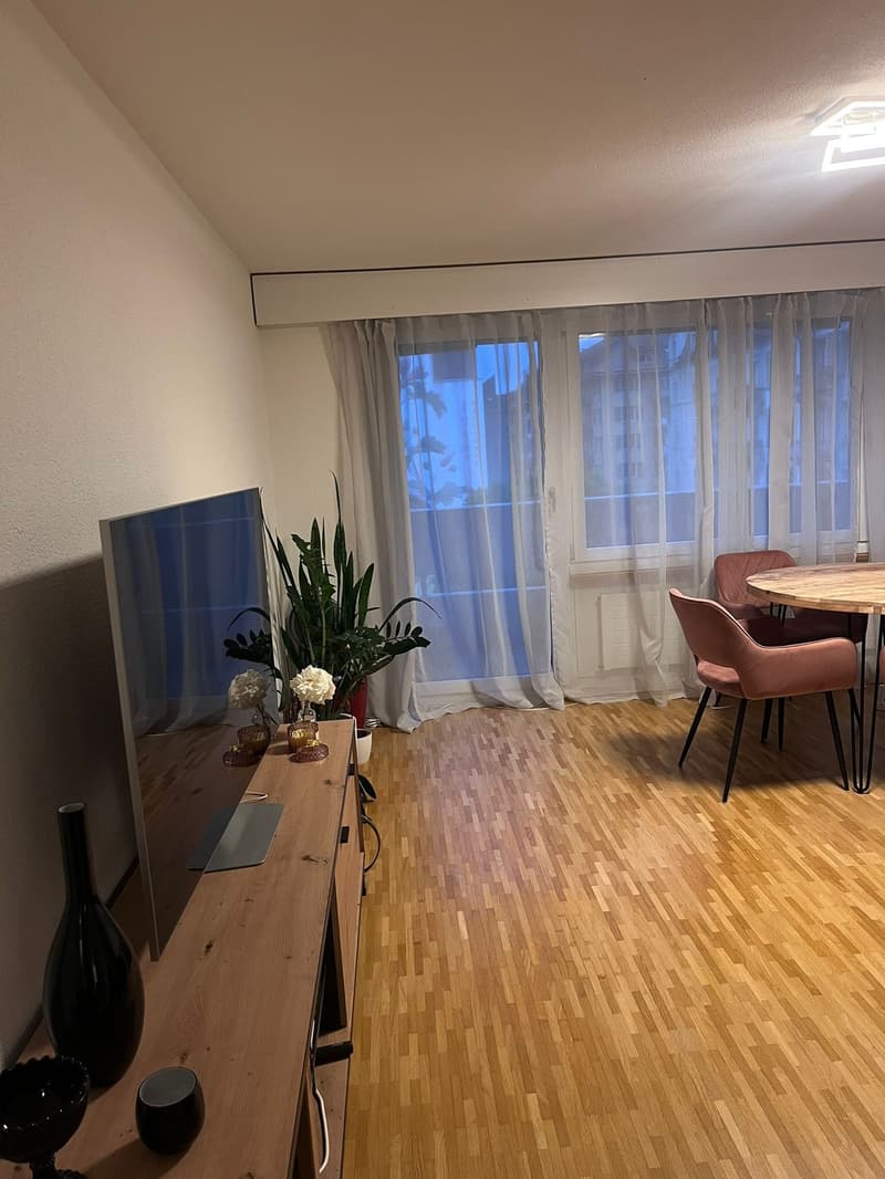 Appartement meublé 2.5 pièces lumineux et moderne dans le quartier populaire de Länggass (2)