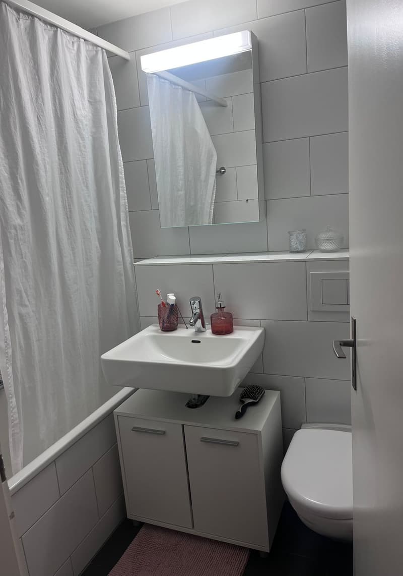 Appartement meublé 2.5 pièces lumineux et moderne dans le quartier populaire de Länggass (6)
