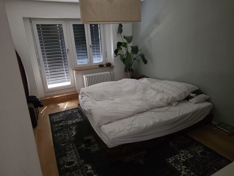 13th July to 10th August - Sublet in trendy Wiedikon neighborhood (2)
