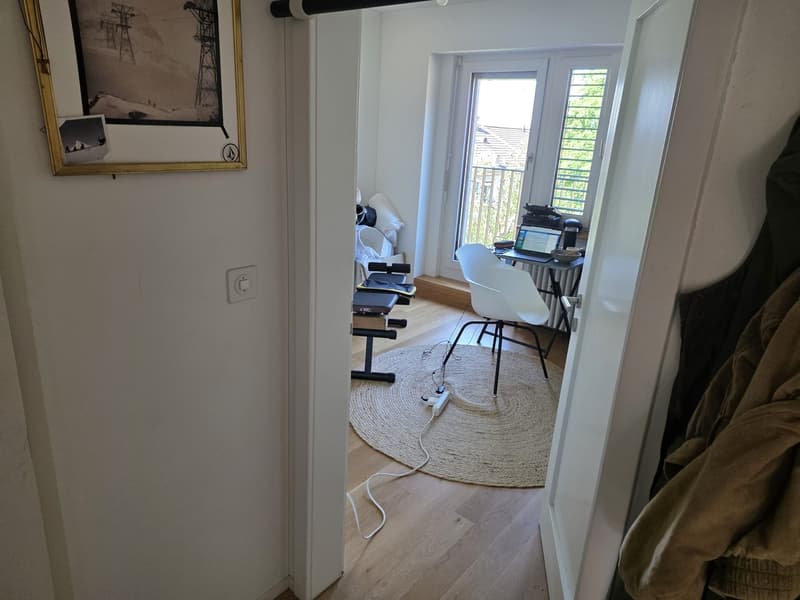 13th July to 10th August - Sublet in trendy Wiedikon neighborhood (7)