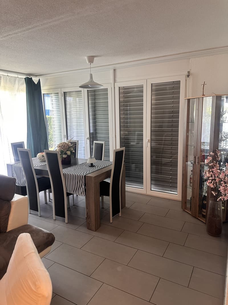 Appartamento arredato temporaneo 3.5 locali 90 m2 con giardino - luglio & agosto 2026 (5)