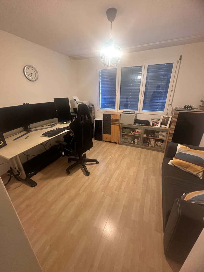Appartamento arredato temporaneo 3.5 locali 90 m2 con giardino - luglio & agosto 2026 (9)