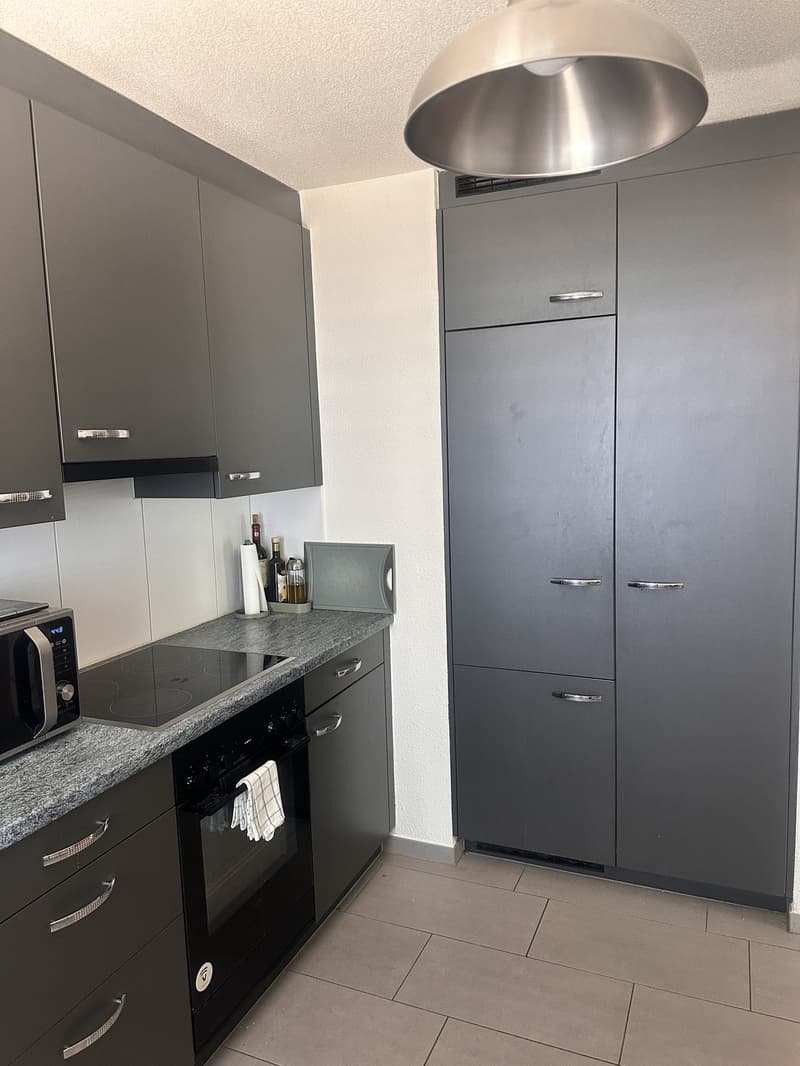 Appartamento arredato temporaneo 3.5 locali 90 m2 con giardino - luglio & agosto 2026 (7)