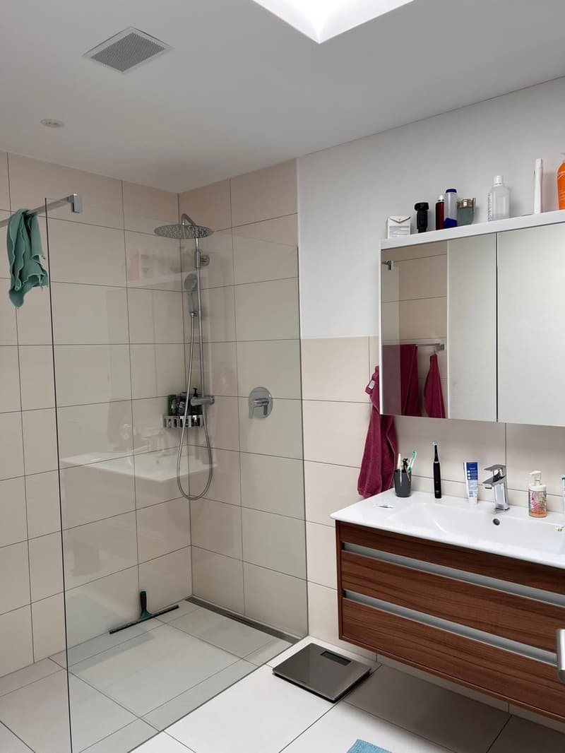 Beautiful 3.5-room terrace apartment seeking subtenant from September 1, 2026 (5)