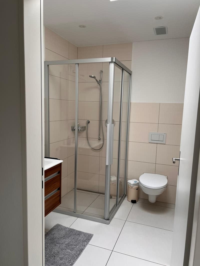 Beautiful 3.5-room terrace apartment seeking subtenant from September 1, 2026 (4)