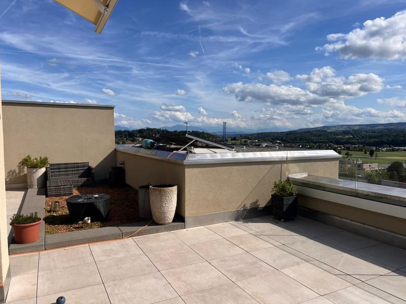 Beautiful 3.5-room terrace apartment seeking subtenant from September 1, 2026 (2)