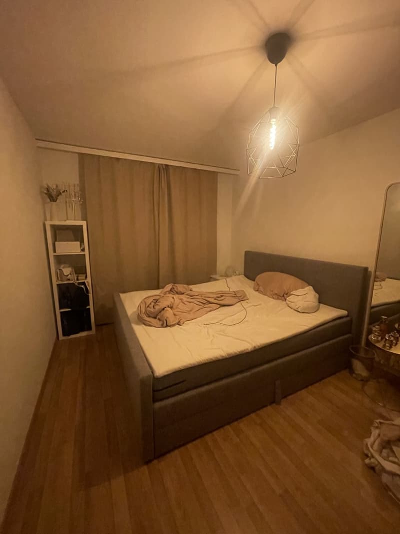 Tenant wanted! (4)